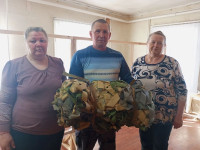 Маскировочные сети